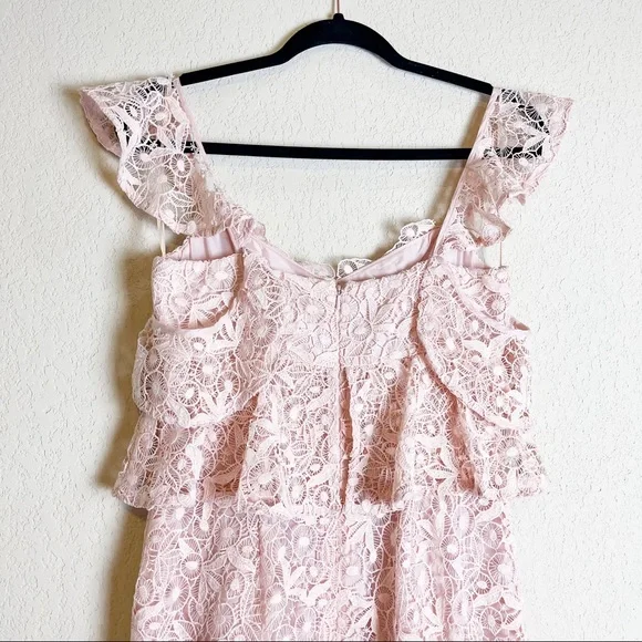 Amur Hayden Lace Midi Dress Blush Pink Size 2 NWT - Picture 8 of 11